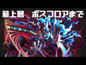 [サモンズボード]【塔】ゼネクの塔_最上層_ボスフロアまで(未踏破)　レムゥパ