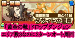 【サモンズボード】ダヴィドの聖森  「黄金の靴」ドロップダンジョン2ターンオート周回