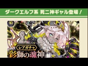 【ガチャ】 ニスカ  三連単   サモンズボード
