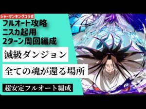 【サモンズボード】【滅級】全ての魂が還る場所　フルオート2ターン周回　ニスカL編成