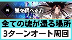 【サモンズボード】 全ての魂が還る場所 星を統べる力(グレートスピリッツ) 3ターンオート周回 サヴールパ