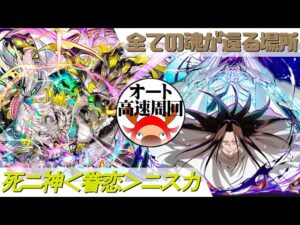 [サモンズボード]【滅】全ての魂が還る場所_グレートスピリッツ　ニスカパ(オート&高速周回用)