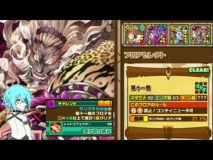 【サモンズボード】サンマラカの塔　11層　カウンタータイプミッション