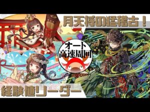 [サモンズボード]【？】月天将の猛稽古_スキル発動の特訓　経験値Lパ(オート&高速周回用)
