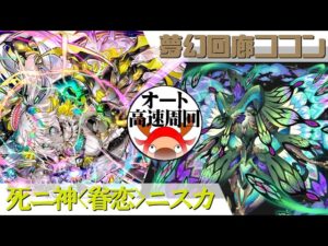 [サモンズボード]【滅】夢幻回廊ココン_カレイド　ニスカパ(オート&高速周回用)