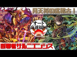 [サモンズボード]【？】月天将の猛稽古_スキル発動の特訓　サルニエンシスパ(オート&高速周回用)
