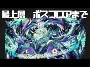 [サモンズボード]【塔】ヴァハラの塔_最上層_ボスフロアまで(未踏破)　アルベドパ