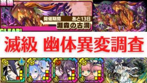 【サモンズボード】 淵森の古洞 滅級 幽体異変調査(ナイトメーバ) アルベドパ