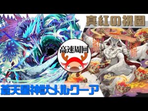 [サモンズボード]【滅】真紅の祝園_サートフェレ　覚醒メルクーアパ(高速周回用)