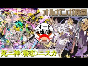[サモンズボード]【神】オルガンガ庭園_ファレリーナ　ニスカパ(オート&高速周回用)