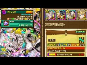 【サモンズボード】ザドルの塔　最上層　飛行モンスター入り