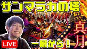 【生配信】エンドコンテンツ！サンマラカの塔「真月」に挑戦！【サモンズボード】定期配信