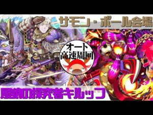 [サモンズボード]【神】サモン・ボール会場_モンスターマシン・ライゼル　キルッフパ(オート&高速周回用)