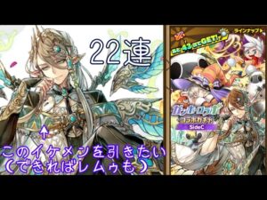 【サモンズボード】【ガンホーコラボ】SideＣ 22連