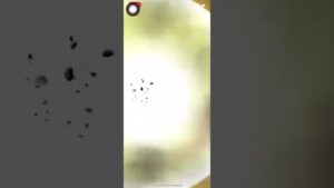 【サモンズボード】【神】廃車場(血のハロウィン) 攻略