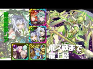 [サモンズボード]【塔】アルアイルの塔_最上層(キランソー)_ボス戦まで　シアパ