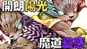 【サモンズボード 】舊作 跟著帥氣的黑貓來場大冒險吧！