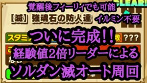 【サモンズボード】ソウルダンジョン【滅】強魂石の防人達 経験値リーダーによる完全オート周回