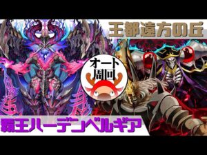 サモンズボード]【滅】王都遠方の丘_アインズ&ドゥームロード　覚醒ハーデンベルギアパ(オート周回用)