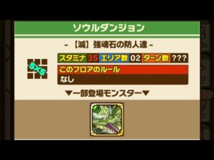 【ソル滅2】オート・AUTO　アミュネ＆ルアーシャ　Twitterより　サモンズ　召喚圖板