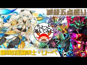 [サモンズボード]リーベでちょっと遊んでみた_滅級五点盛り(常設編)